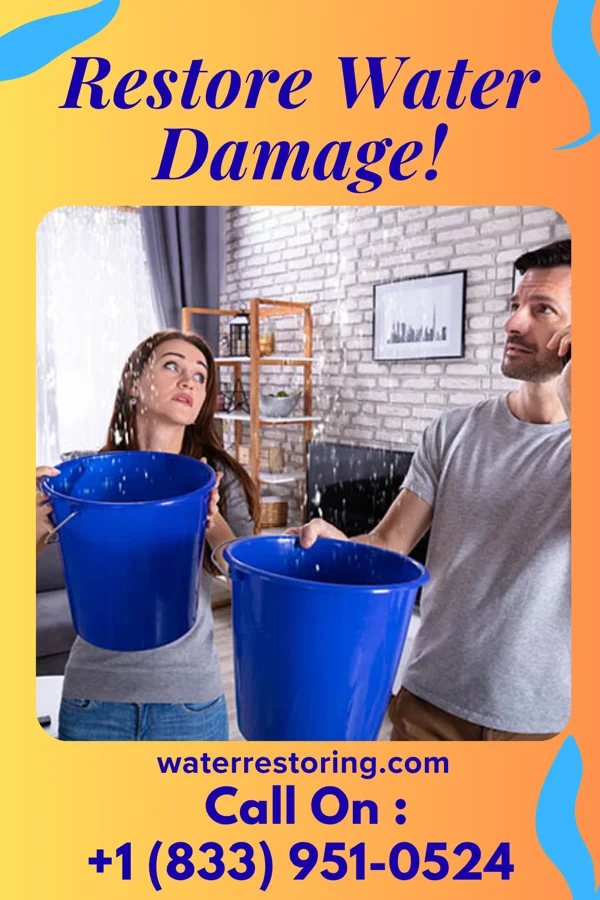 water restoration Shield Sewage Cleanup Masters Wessington